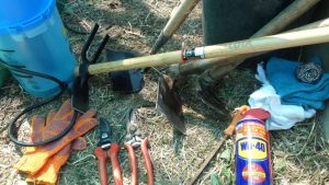 Cuidado y mantenimiento de herramientas de jardín